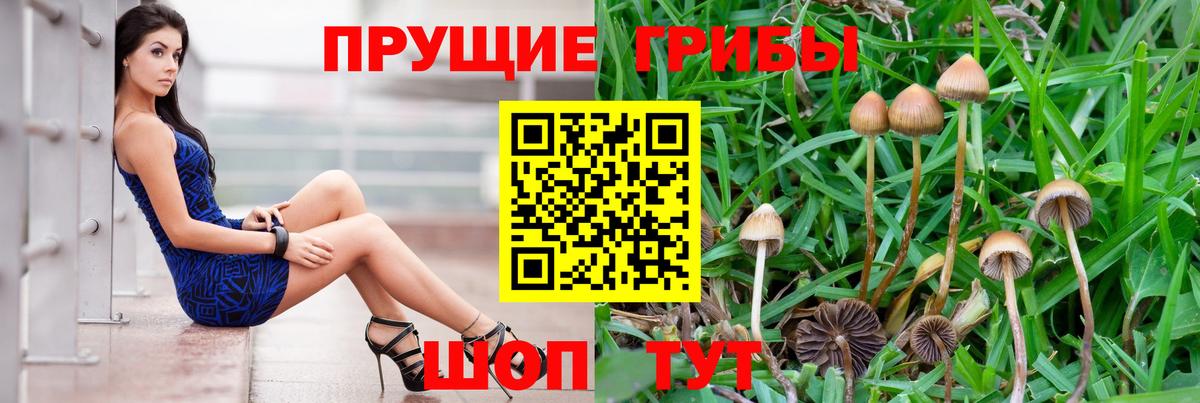 Псилоцибиновые грибы Psilocybine cubensis  Вход с VPN  где продают   Первоуральск 