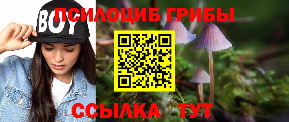 Псилоцибиновые грибы прущие грибы Первоуральск